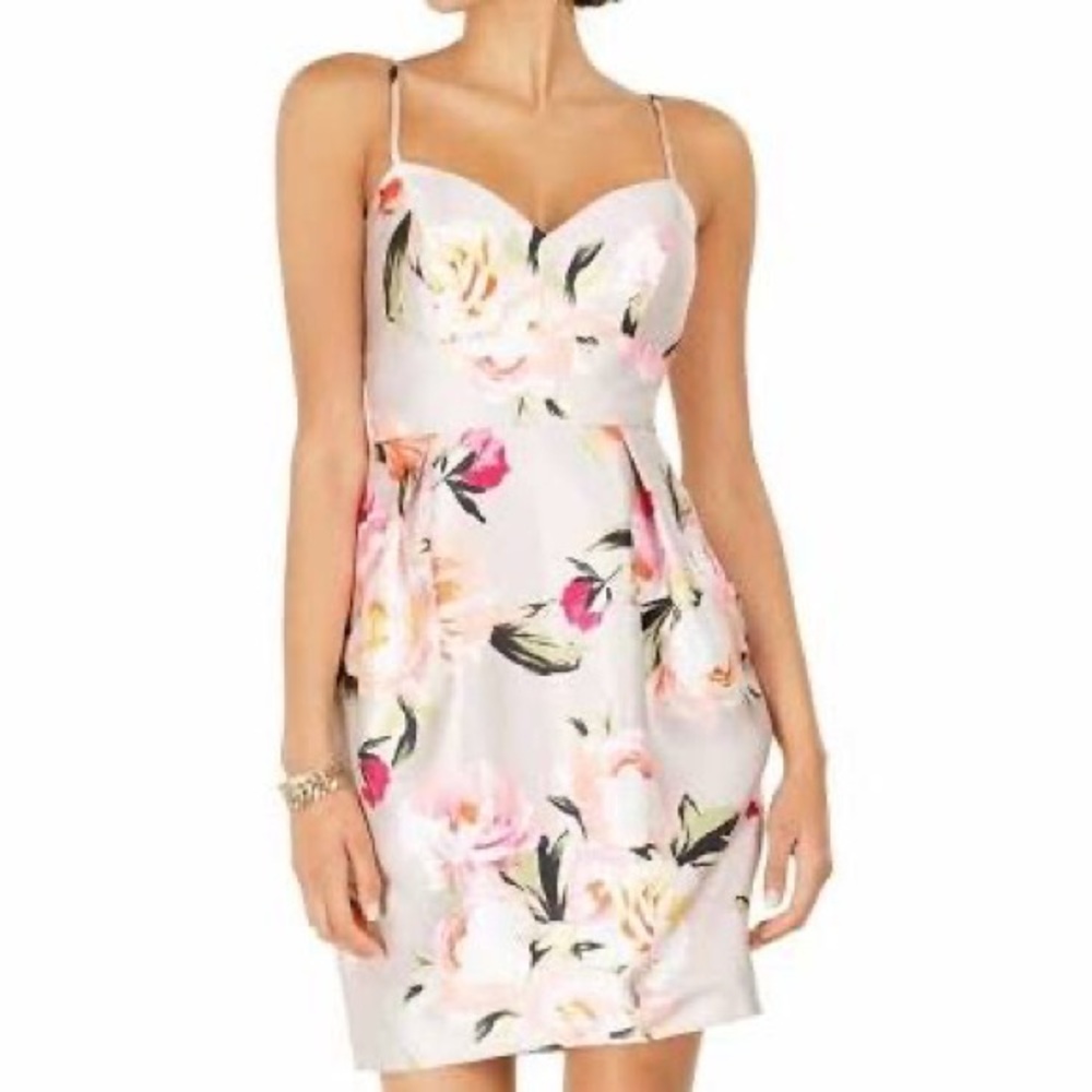 Eliza J Floral Print Dress - Pink and White